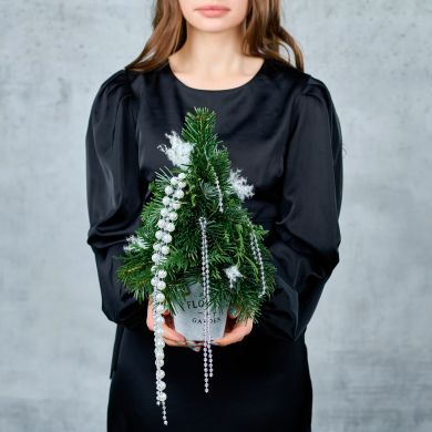 Дейзи